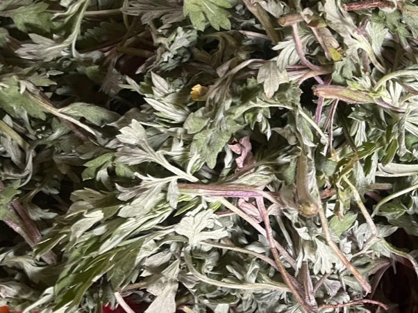 2025년 햇 쑥의 추출작업이 있었습니다.